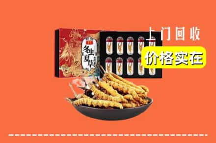 佳木斯抚远回收冬虫夏草